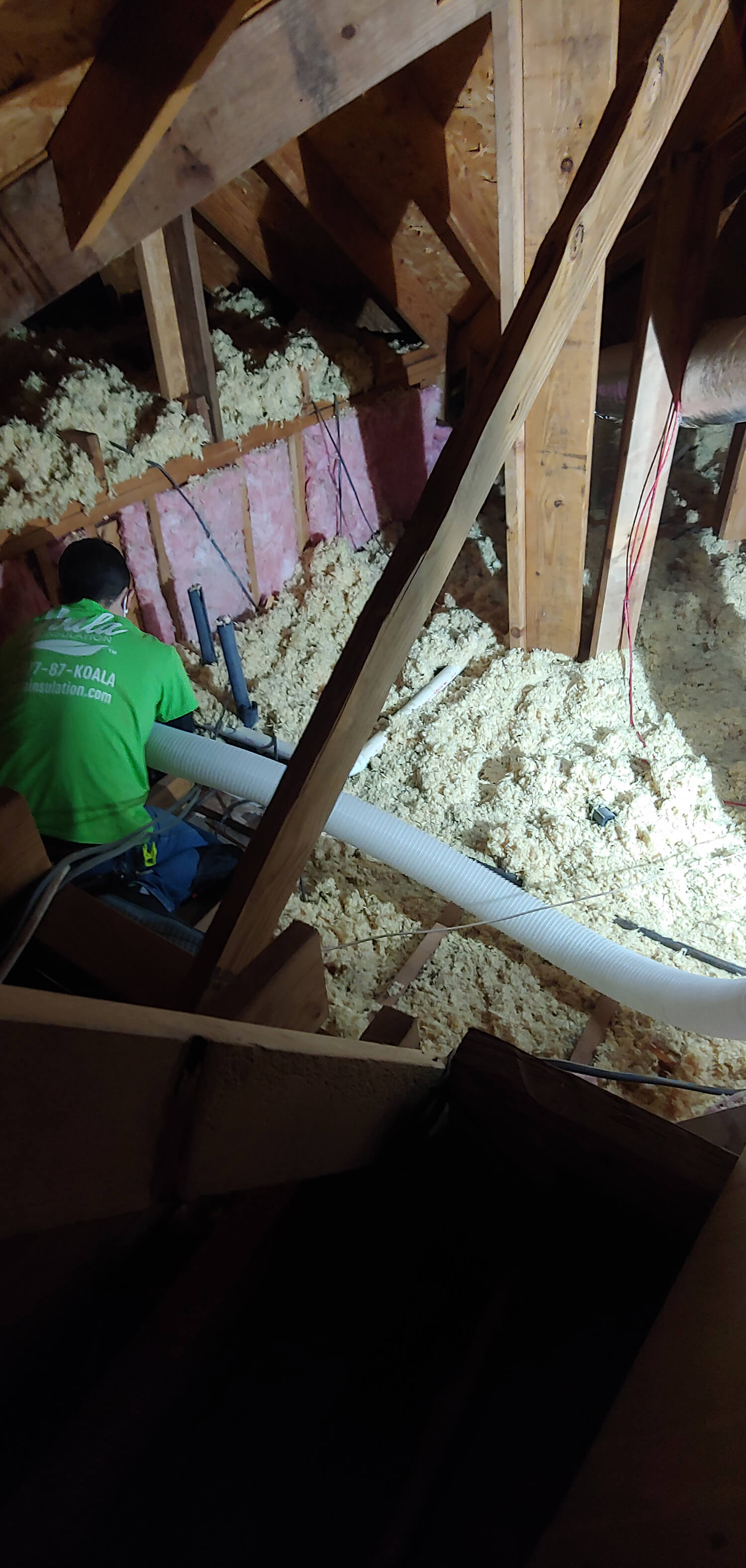 Phoenix attic insulation removal